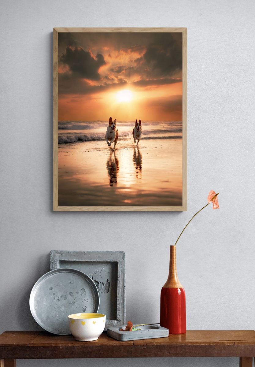 Dogs Running at Sunset Photography Poster. — room view 3