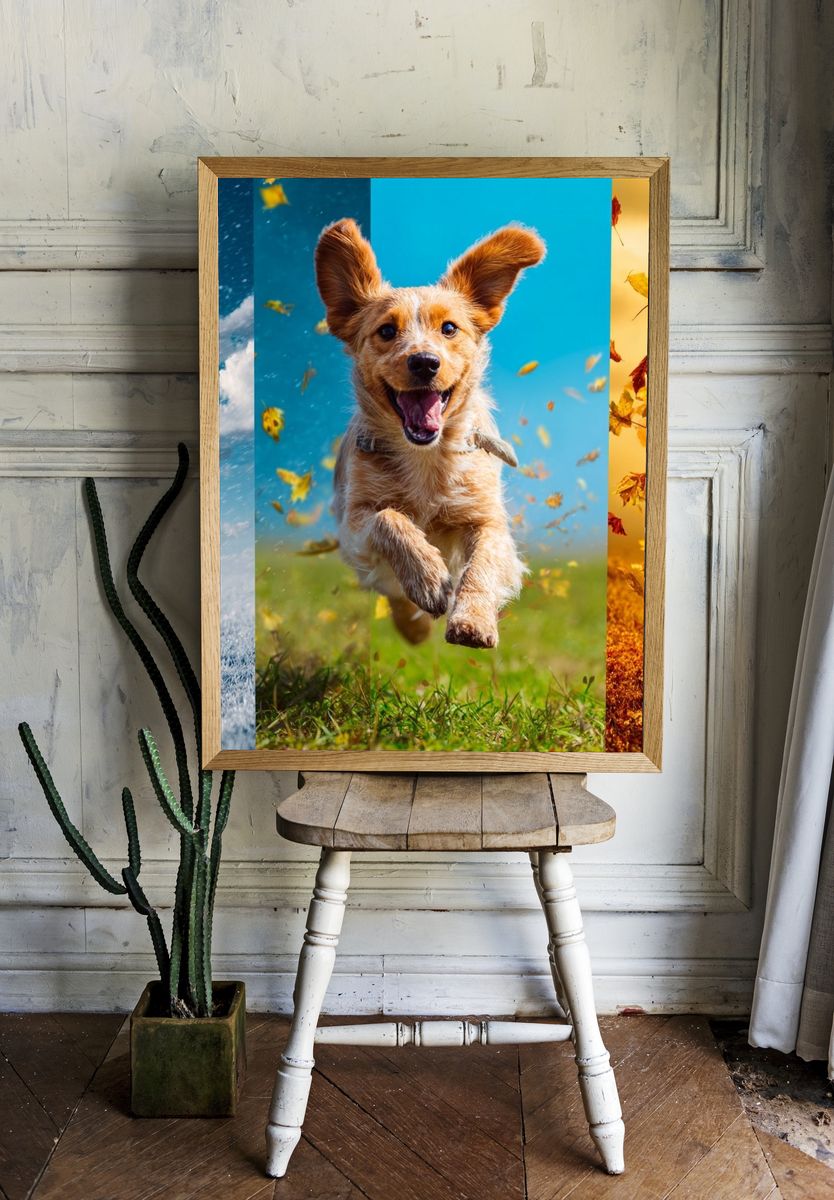 Happy Dog in Four Seasons Poster. — room view 1