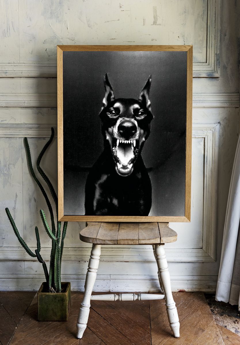 Doberman Portrait Black-White Poster. — room view 1