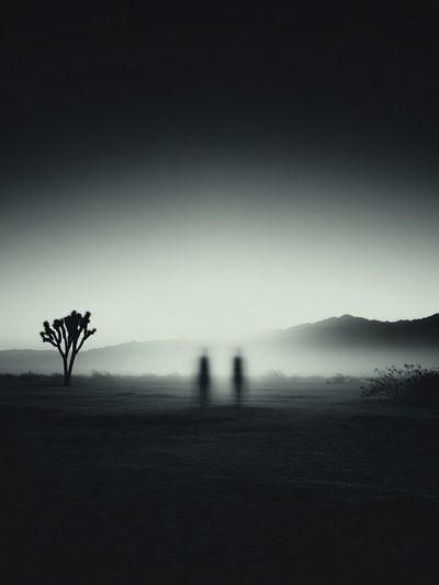 Misty Desert Silhouette — Photography Print. poster