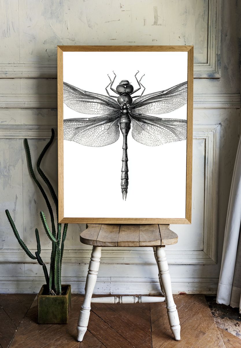 Dragonfly Illustration Poster. — room view 1