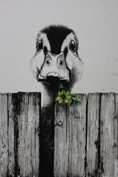 Duck with Flower — Illustration Print. poster print