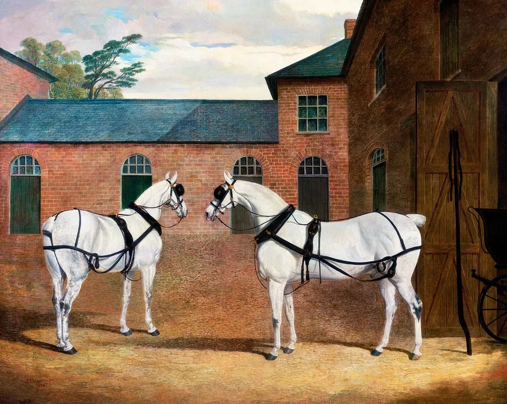 Two White Horses — Fine Art Print. poster detail