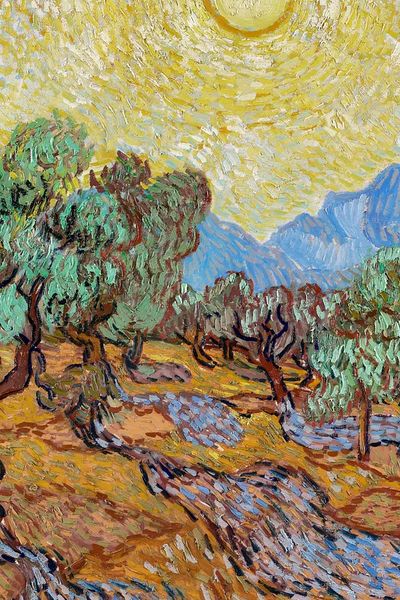 Olive Trees with Yellow Sky — Fine Art Print. poster print