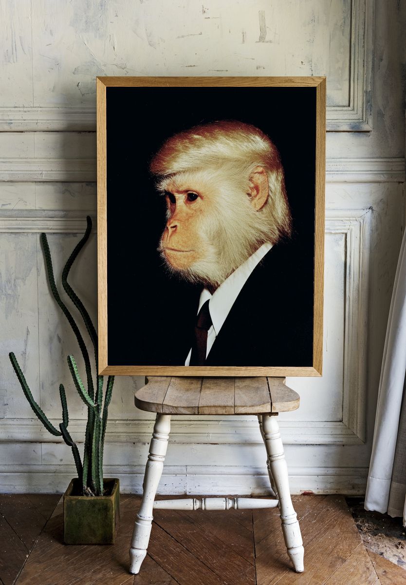 Monkey in Suit — Funny Print room preview
