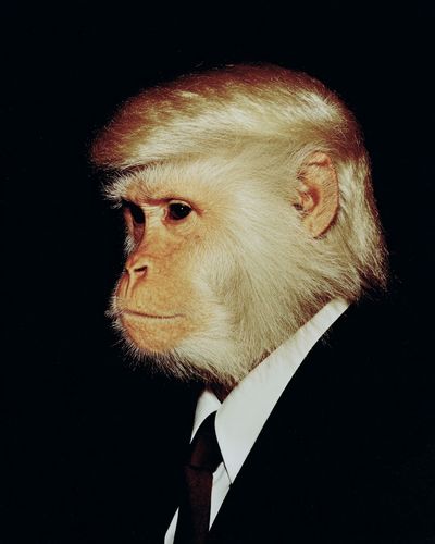 Monkey in Suit — Funny Print