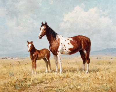 Painted Horses in Meadow Poster. poster print