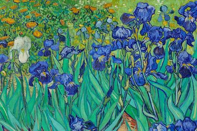 Iris Flowers — Fine Art Print. poster print