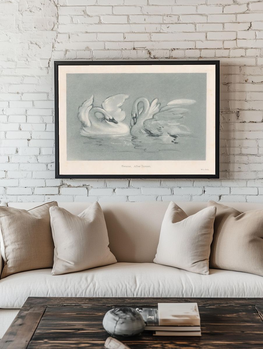 Swans — Fine Art Print. — room view 1