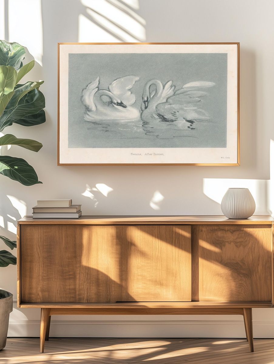 Swans — Fine Art Print. — room view 3
