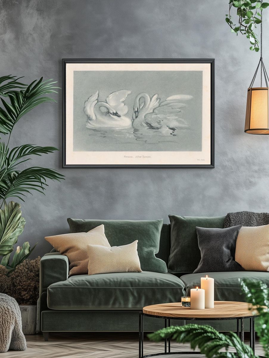 Swans — Fine Art Print. — room view 4