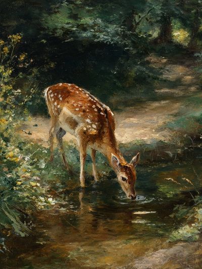 Deer in Woodland Stream Painting Poster. poster print