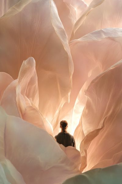 Dreamlike Flower Portrait Poster. poster print