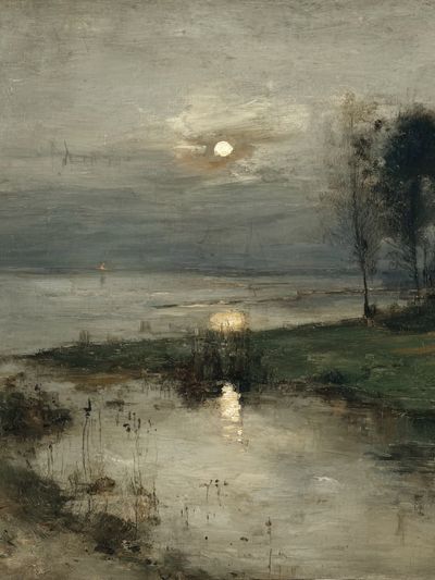 Misty Moonlit Marsh Fine-Art Poster. poster print