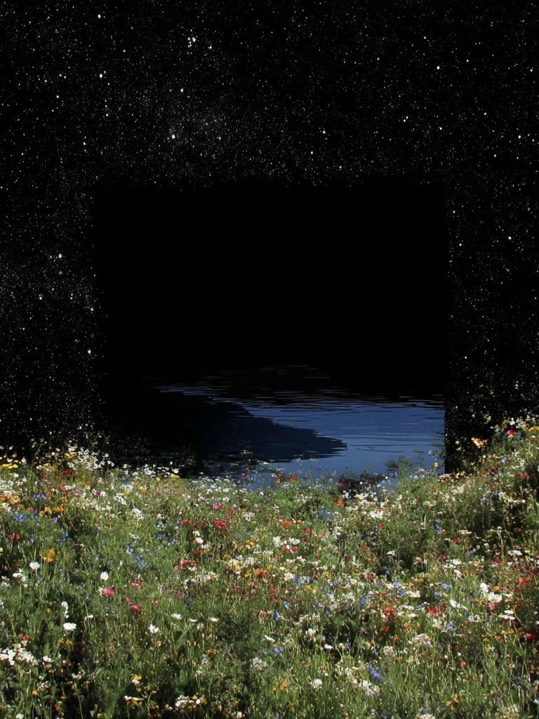 Starry Meadow Dreamscape Print. poster detail