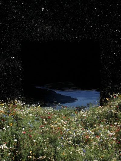 Starry Meadow Dreamscape Print. poster