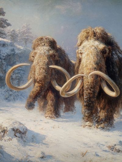 Woolly Mammoths Winter Landscape Print. poster print