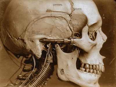 Cybernetic Skull Sepia Print. poster