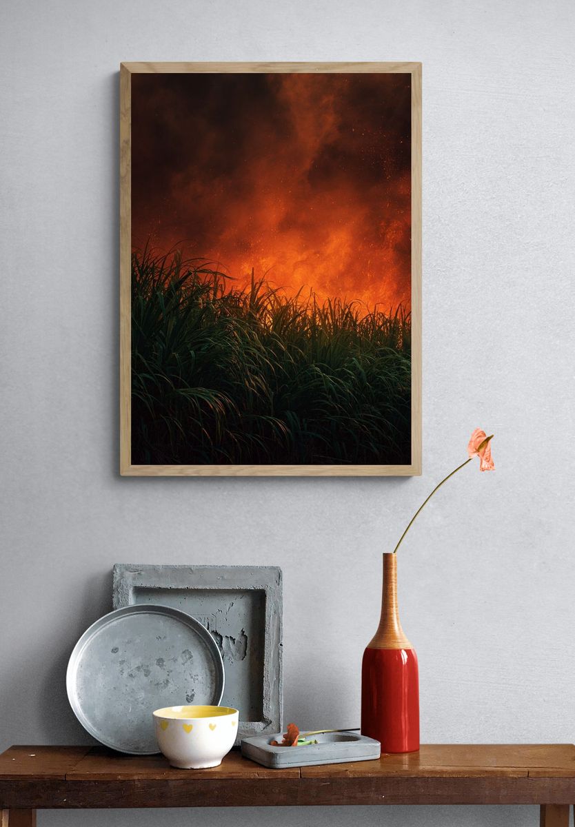 Fiery Grassland — Photography Print. — room view 3