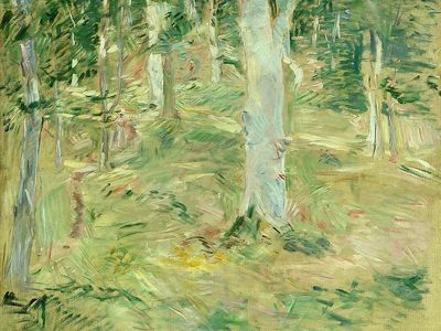 Birch Forest Impressionist Poster. poster