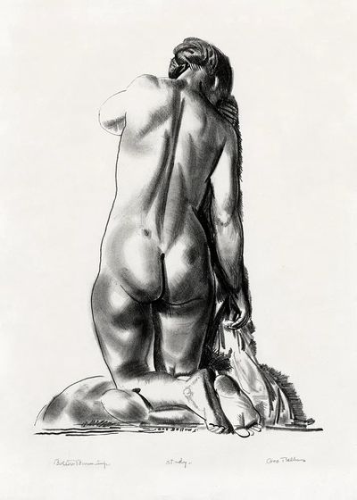 Figure Study Ink Drawing Poster. poster