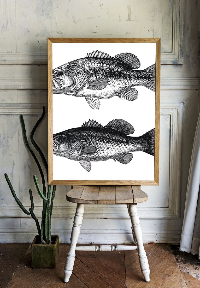 Bass Fish Illustration Poster. — room view 1