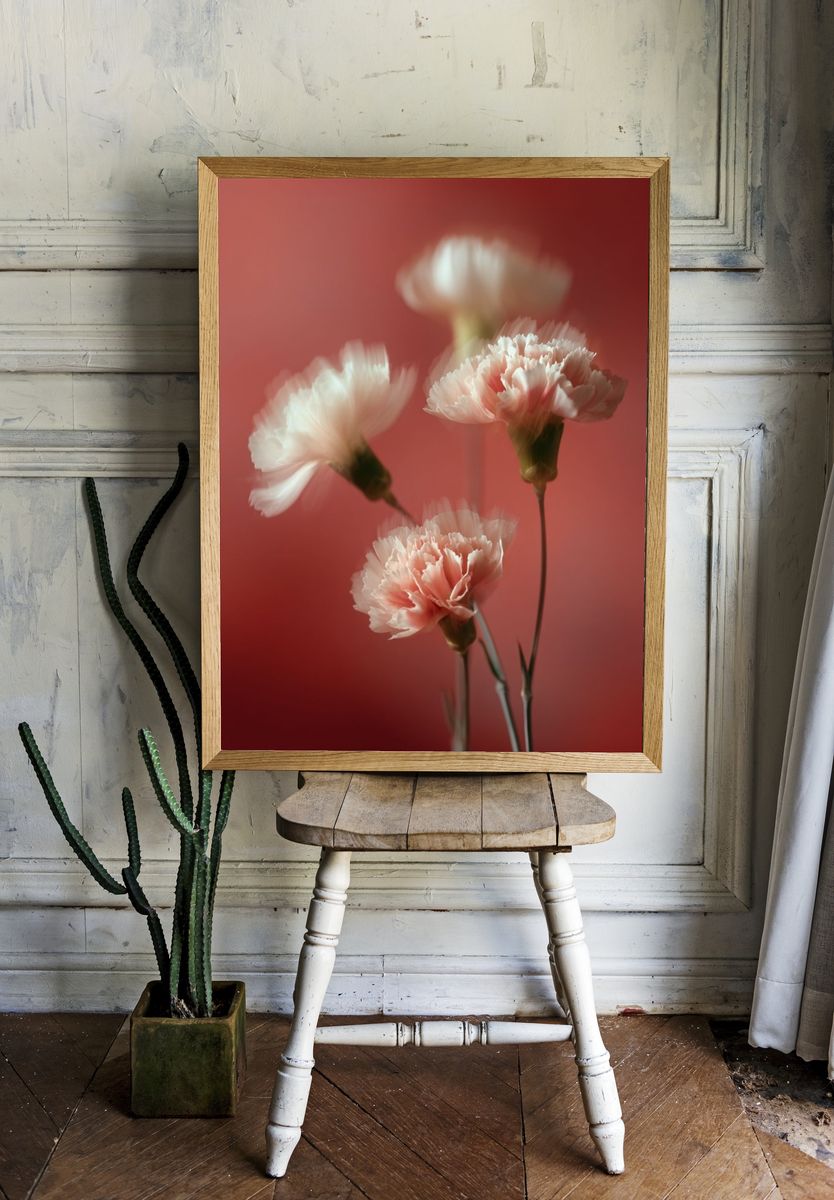 Soft Pink Carnations — Floral Print. — room view 1