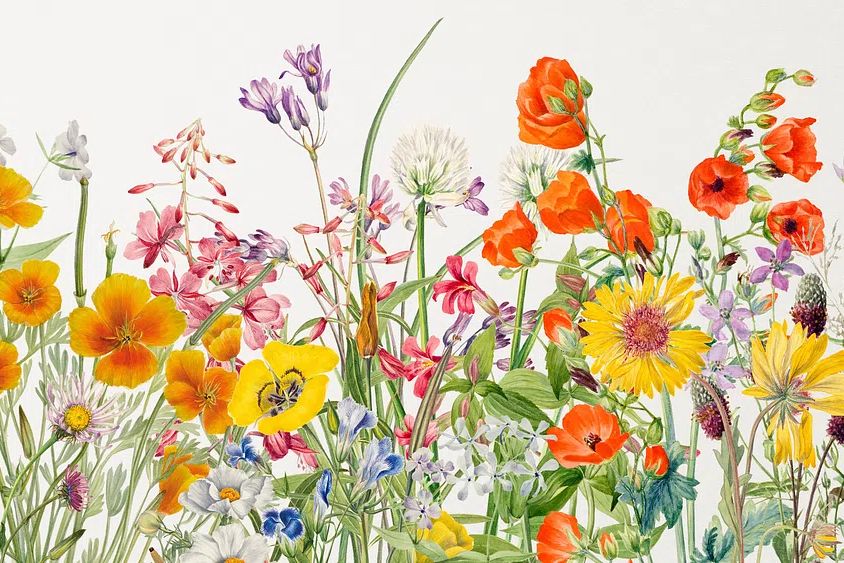 Colorful Floral Bouquet Poster. poster — botanical art