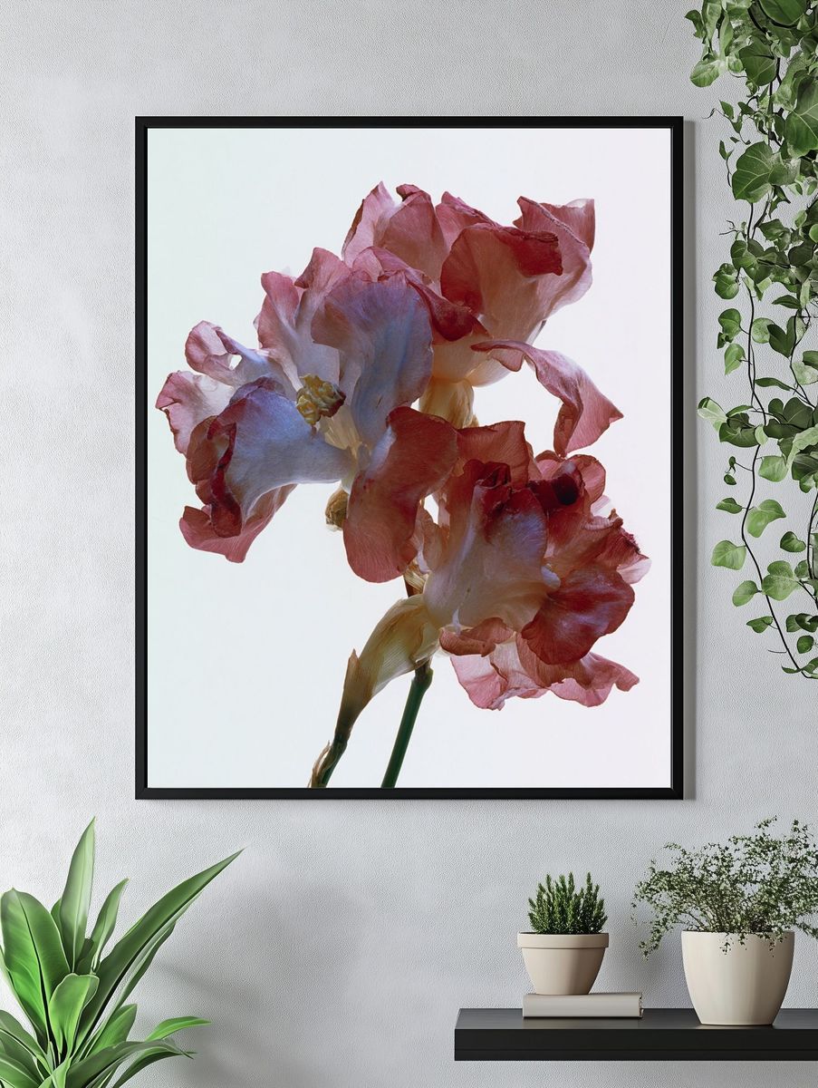 Delicate Floral Art Print. — room view 4