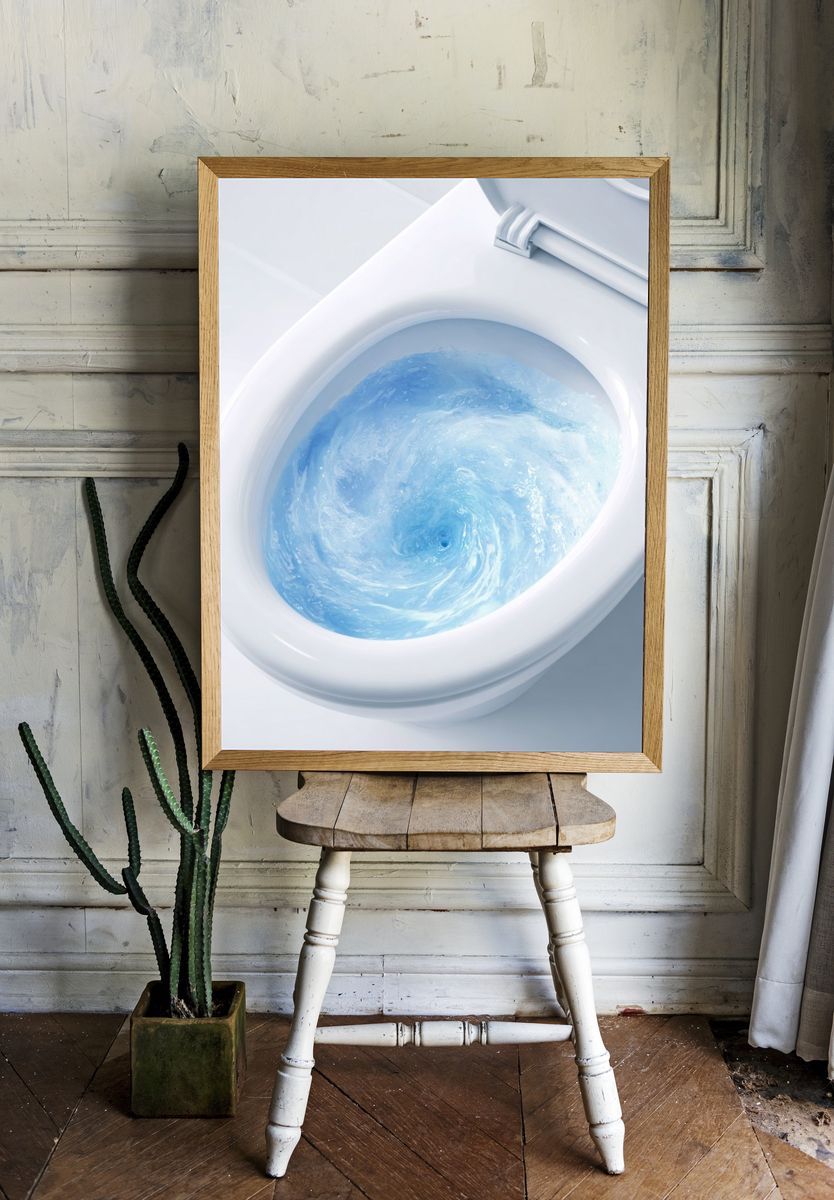 Whirlpool Toilet Water — Funny Print room preview