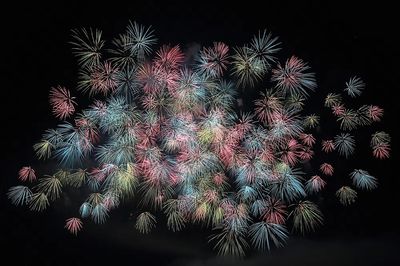 Colorful Fireworks Display Poster. poster print