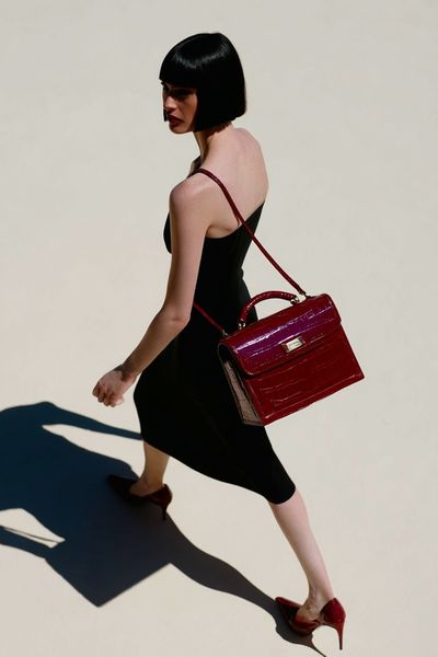 Fashionable Woman with Red Bag — Fashion Print