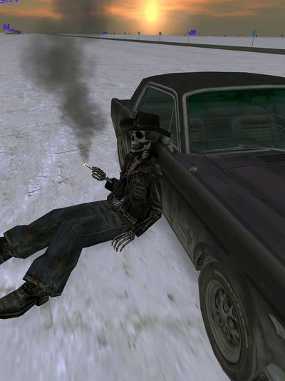 Skeleton Cowboy Car Chase Poster. poster