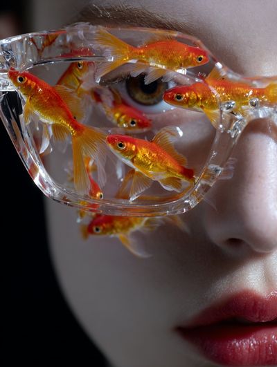 Goldfish in Glasses — Surrealism Print. poster print