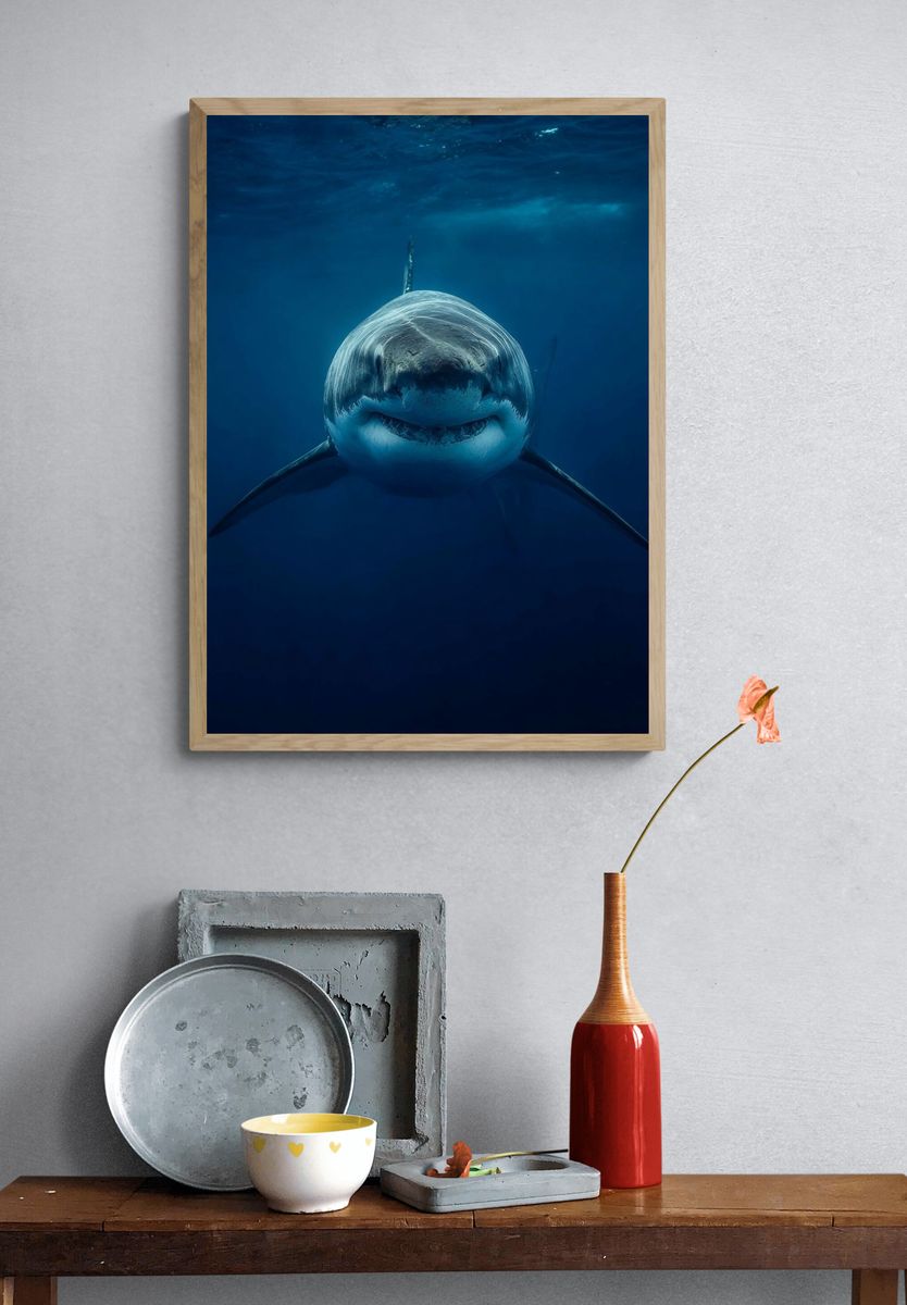 Great White Shark Underwater Poster. — room view 3