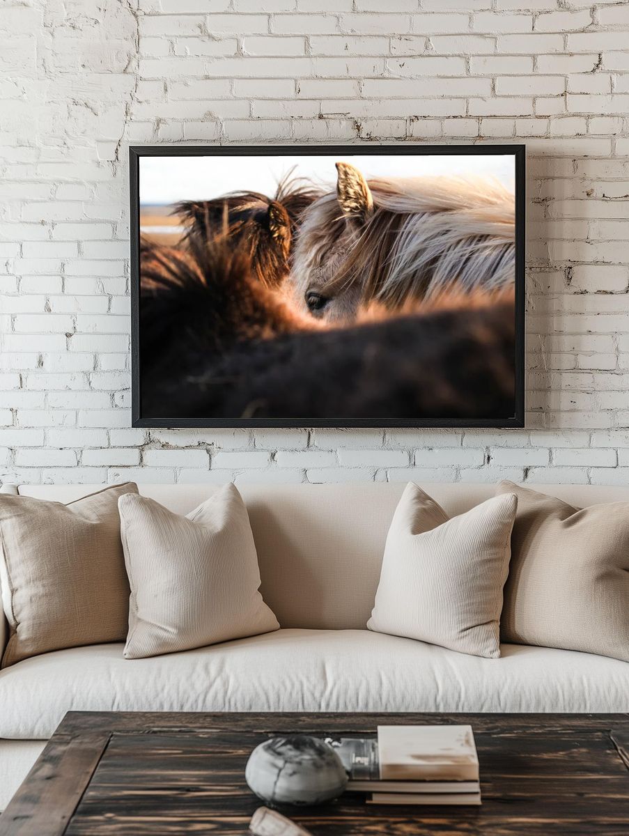 Horses in Harmony — Photography Print. — room view 1