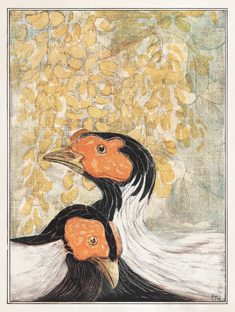 Hornbill Pair Vintage Illustration Poster. poster — illustration art