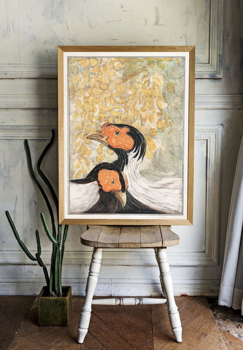 Hornbill Pair Vintage Illustration Poster room preview