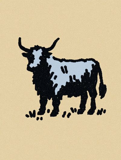 Highland Cow Illustration Poster. poster print