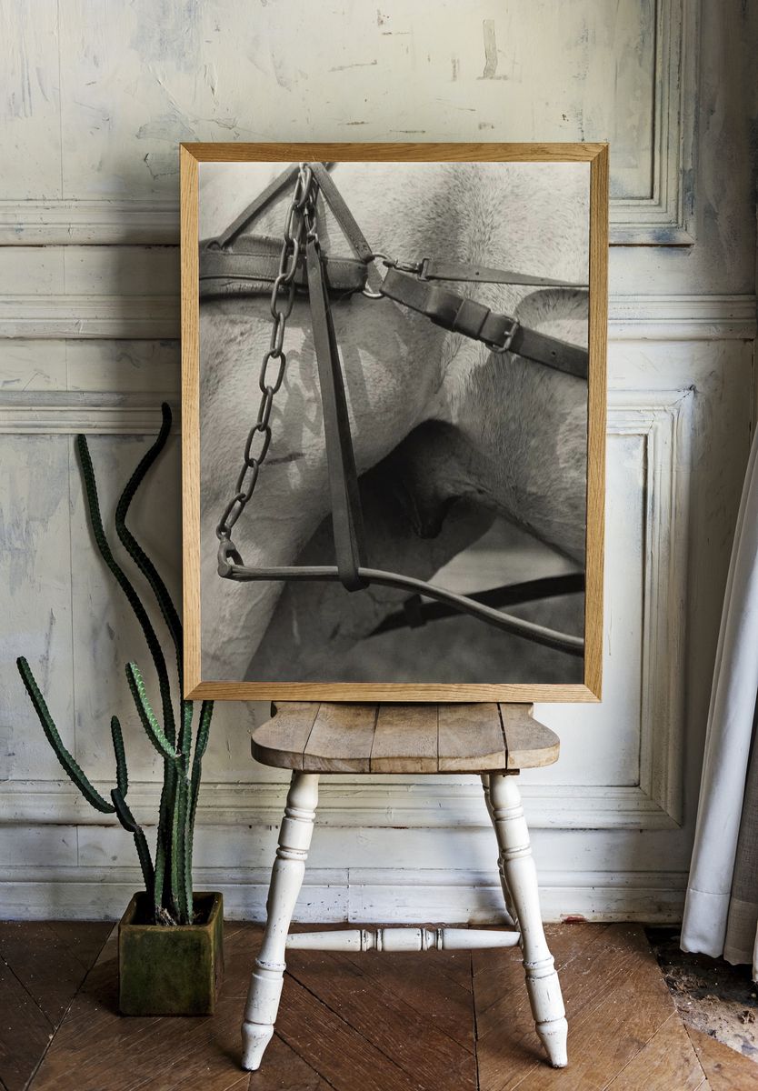 Horse Harness Detail — Photography Print. — room view 1