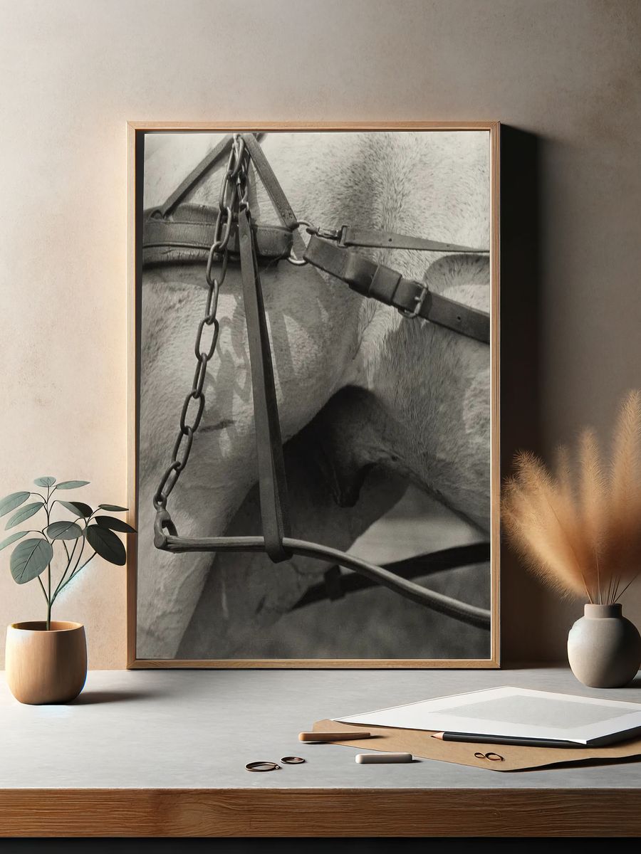 Horse Harness Detail — Photography Print. — room view 2