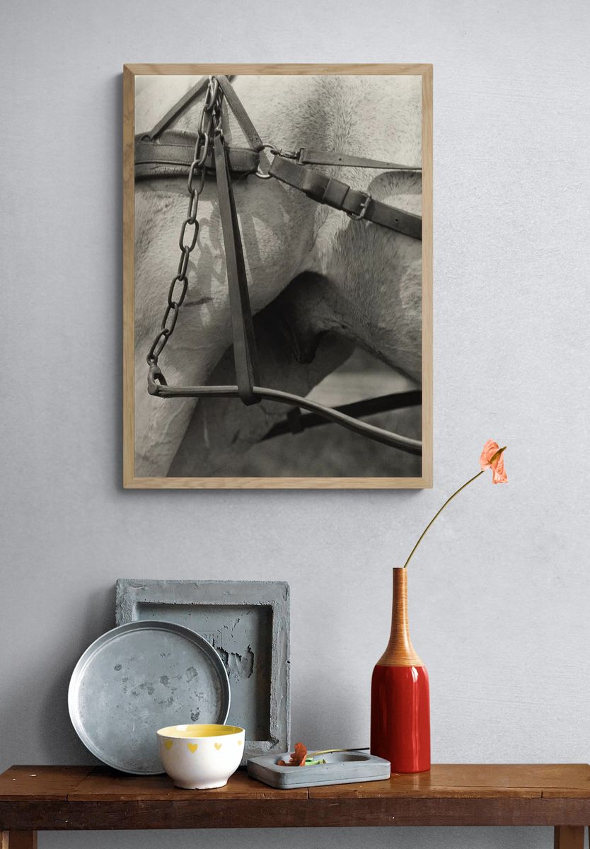 Horse Harness Detail — Photography Print. — room view 3