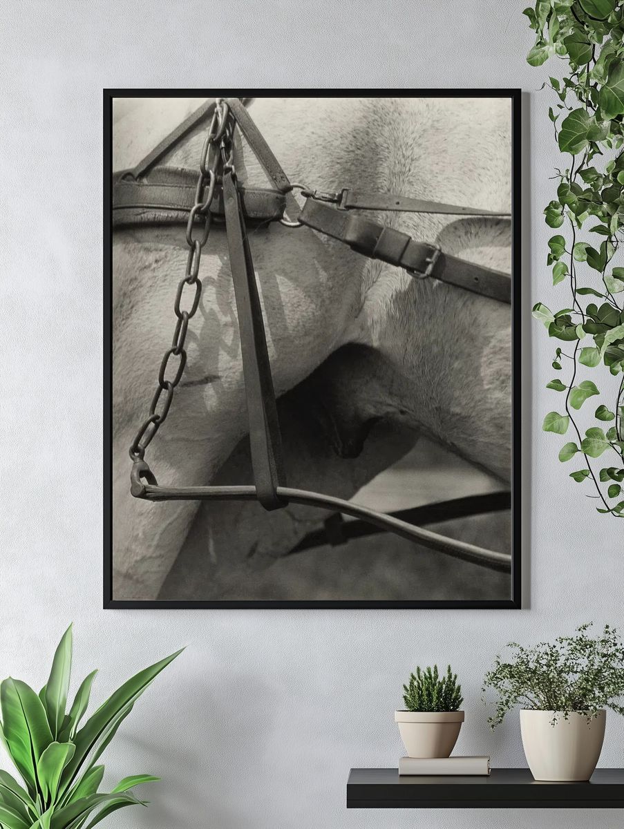Horse Harness Detail — Photography Print. — room view 4