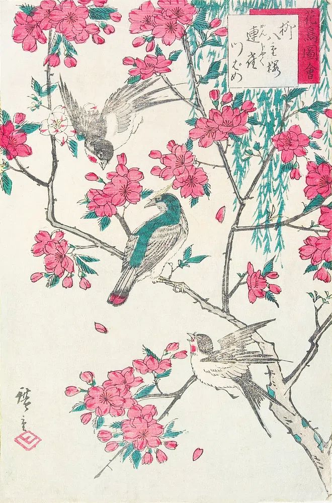 Willow, Cherry Blossoms, Sparrows Swallow. poster detail