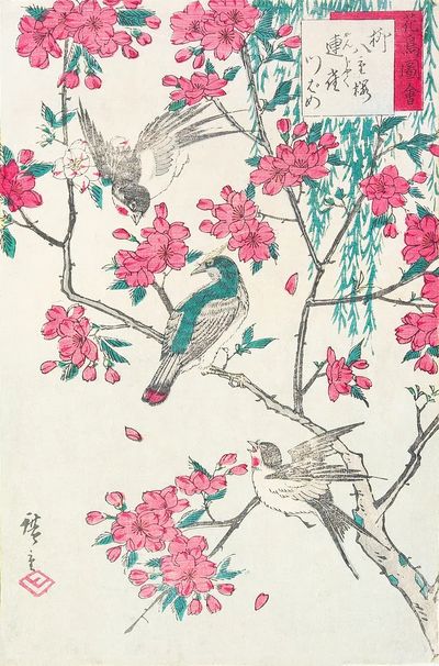 Willow, Cherry Blossoms, Sparrows Swallow. poster