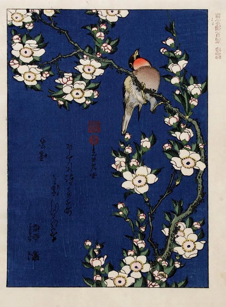 Katsushika Hokusai (1760-1849), Robin branch. poster detail