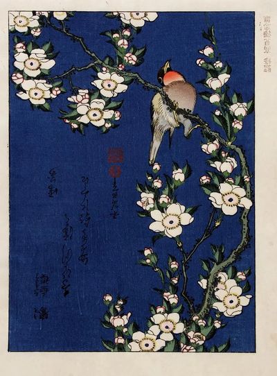 Katsushika Hokusai (1760-1849), Robin branch. poster