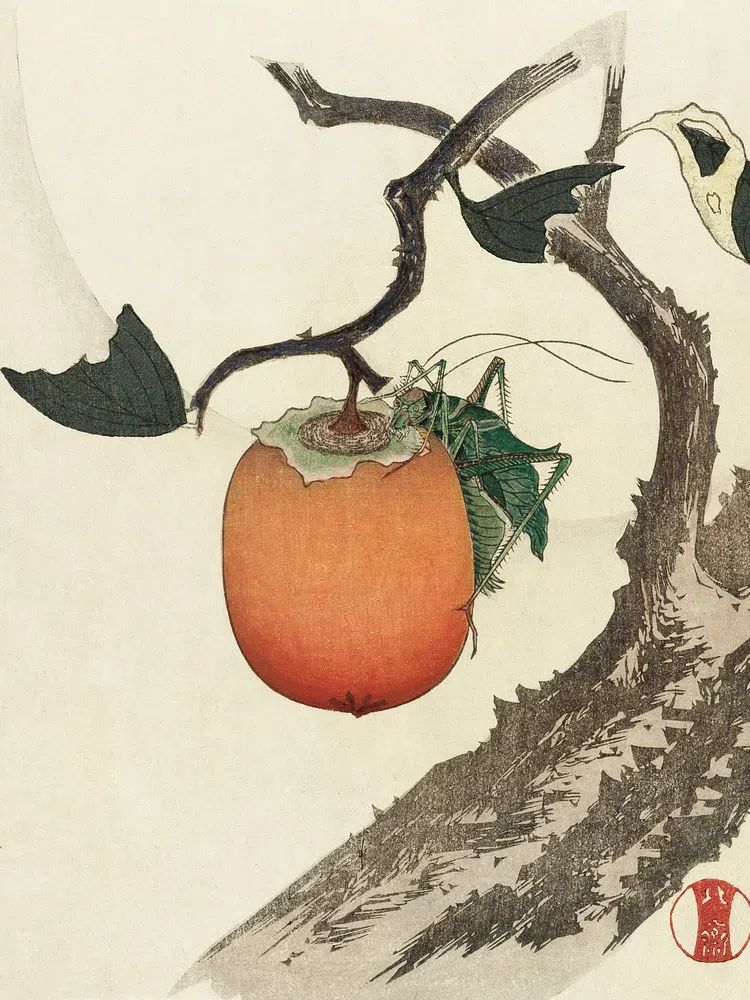 Kakivrucht met Sprinkhaan by Katsushika Hokusai (1890) — Art Print. poster detail