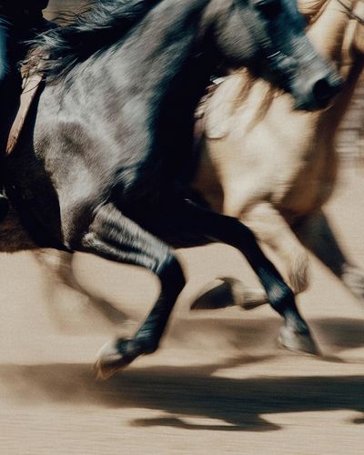 Galloping Horses — Photography Print. poster print