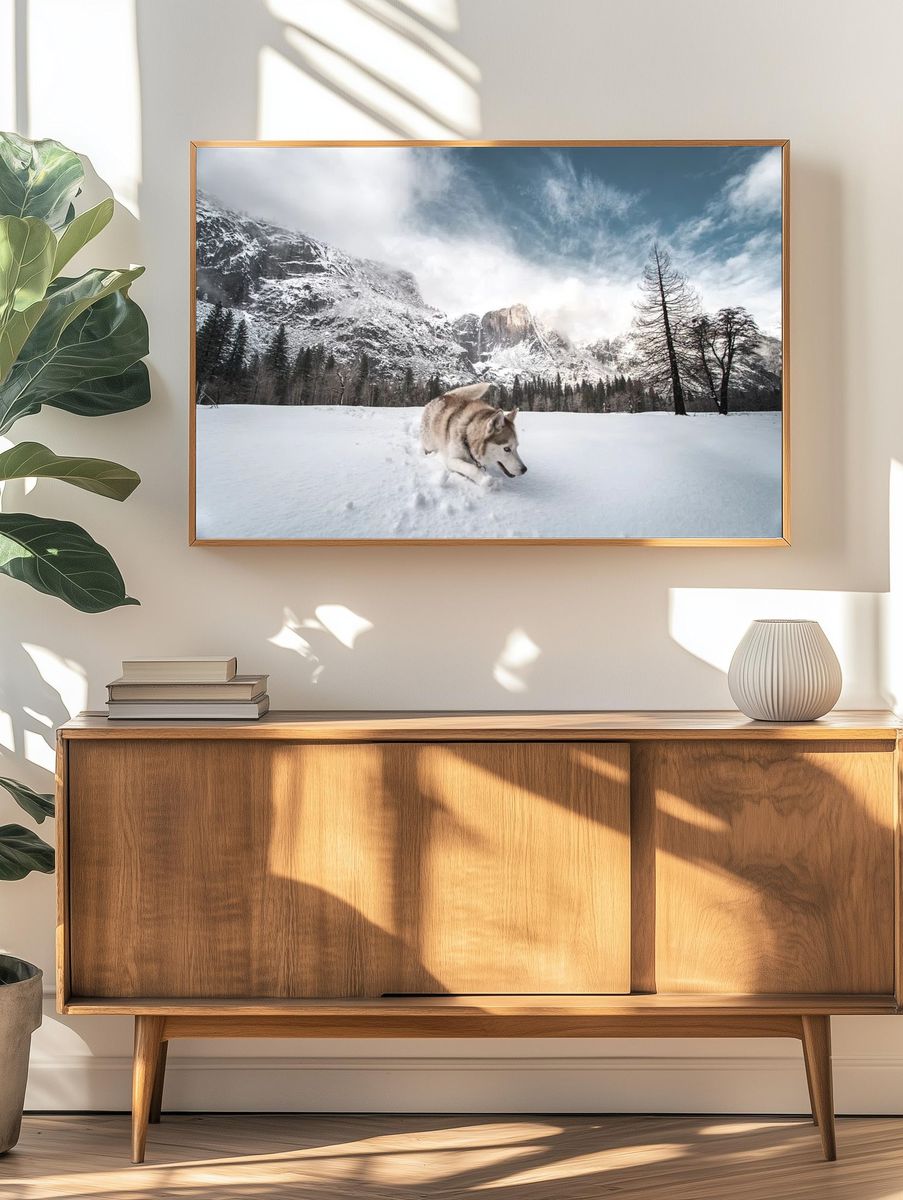 Husky in Snowy Mountain Landscape Poster. — room view 3